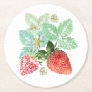 Search for food coasters Sweet