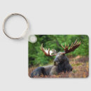 Search for moose keychains Wildlife