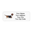 Search for basset return address labels Hounds