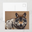 Recherche de portrait de loup cartes postales Nature
