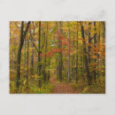 Search for laurel postcards Nature