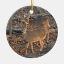 Search for whitetail deer ornaments Nature