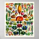 Search for adolphe millot posters Botanical