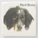 Search for bird dog coasters Pet