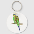 Search for budgie keychains Budgerigar