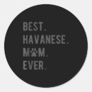 Search for havanese lover stickers Dog