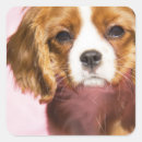 Recherche de cavaliers autocollants Pour enfants