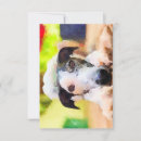 Search for greyhound cards Rescue