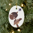 Search for hawk ornaments Birds of prey