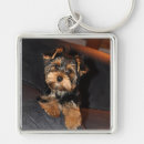 Recherche de terrier yorkshire porteclés Dog