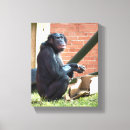 Search for wild apes art Chimpanzee