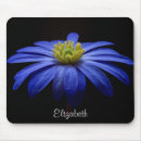 Recherche de marguerite africaine tapis souris Marguerie