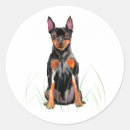 Search for min pin stickers Dog