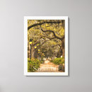 Search for savannah canvas prints Oak tree