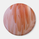 Recherche de flamants magnets Abstrait