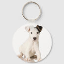 Search for jack russell keychains Animal