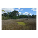 Search for bog posters Nature