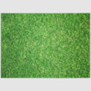 Search for green grass tissue paper Background