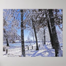 Search for wall covering posters Photography