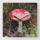 Search for danita delimont clocks Forest