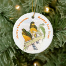 Search for ornithologist ornaments Birds