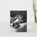 Search for saluki cards Black