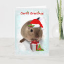 Search for gerbil cards Cute