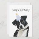 Search for canine invitations Dog