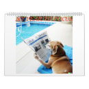 Search for focus office supplies Animal