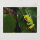 Search for monteverde postcards Monteverde cloud forest