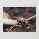Search for happy reptile postcards Nature