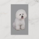Recherche de bichons cartes visite Frise de bichon