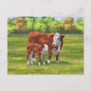 Search for hereford cow postcards Livestock