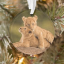 Search for wildcat ornaments Cute
