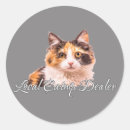 Search for catnip stickers Humour