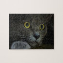 Search for intense puzzles Feline