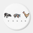 Search for cow and chicken magnets Animal