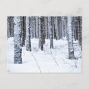 Search for jura postcards Switzerland