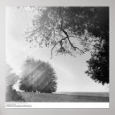 Search for ansel adams fiat lux posters North america