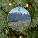 Search for olympic national park ornaments Landscape