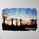 Search for baobab tree art Africa