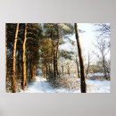 Search for snowfall posters Woodland