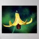 Search for insecte posters For her