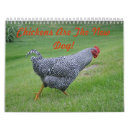 Search for chicken calendars Eggs