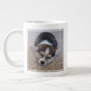 Search for corgi puppy mugs Canine
