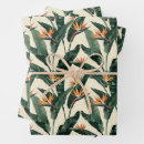 Search for bird of paradise wrapping paper Pattern