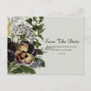 Search for vintage pansies postcards Purple
