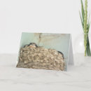 Search for swallow cards Baby birds