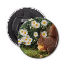 Search for cute bottle openers Squirrel
