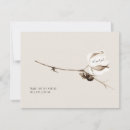 Search for cotton cards Simple